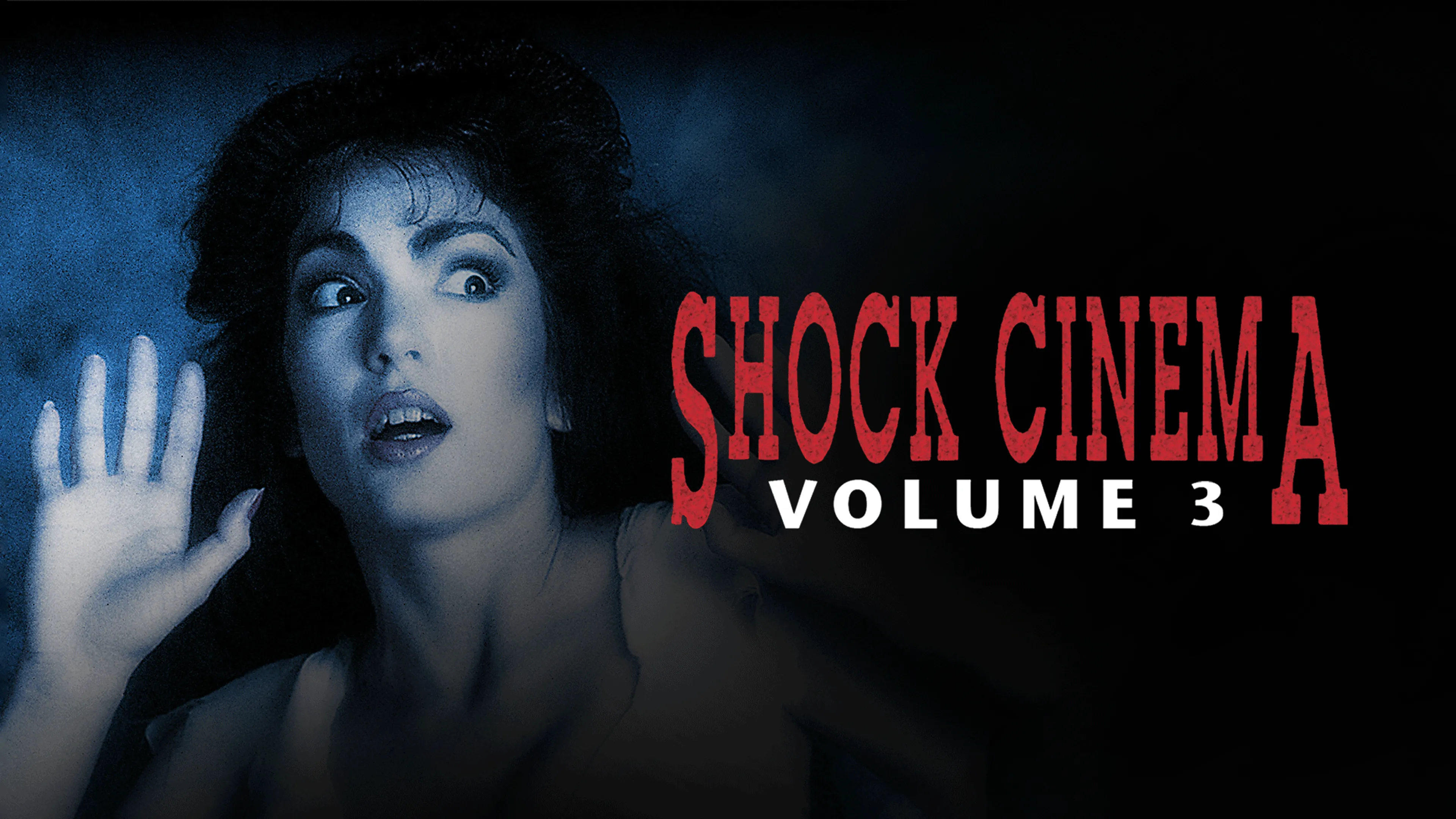 Shock Cinema Volume 3 poster